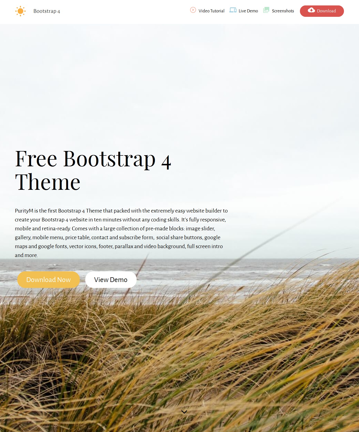 HTML Bootstrap Basic Theme